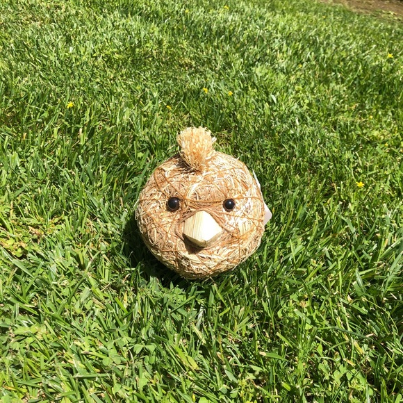 NWT Pier 1 Imports Decorative Natural Vase Filler - Picture 2 of 13